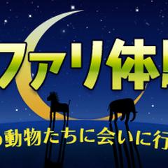 ナイトサファリツアー　バナー