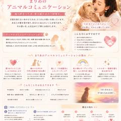 アニマルコミュニケーションについて