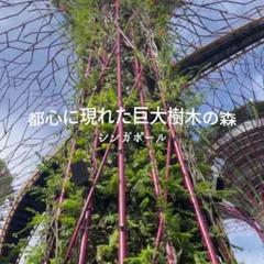 旅行Instagramリール動画