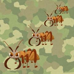 軍隊アリ