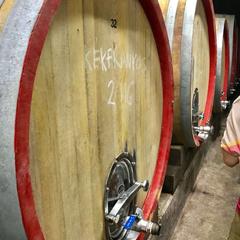 美女の谷のワインセラー