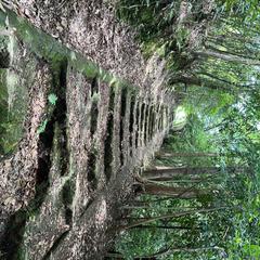 否定と肯定、主観や概念