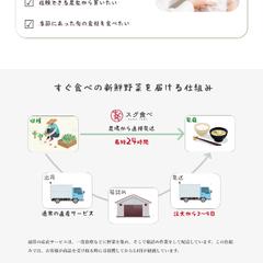 野菜のオンライン販売サービスのLP