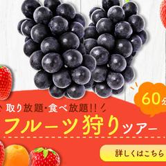 フルーツ狩りバナー