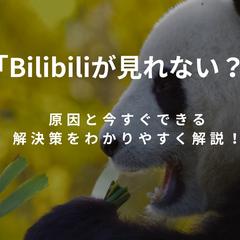 Bilibiliが見れない？原因と今すぐできる解決策を解説！