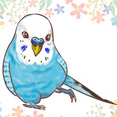 インコ