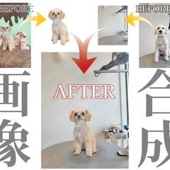 画像編集・合成｜不要物除去・背景修正