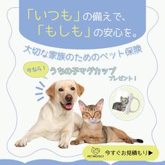 【架空案件】ペット保険バナー