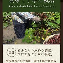 「美容茶」ランディングページ制作