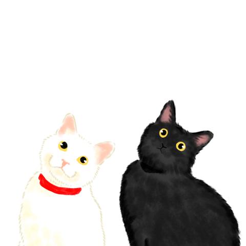 気質アップ イラストオーダー 白黒猫様専用 アート 写真 ハンドメイド 651 851 Hafryat Com 気質アップ イラストオーダー 白黒猫様専用 アート 写真 ハンドメイド 651 851 Hafryat Com