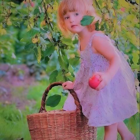 Apple Girl