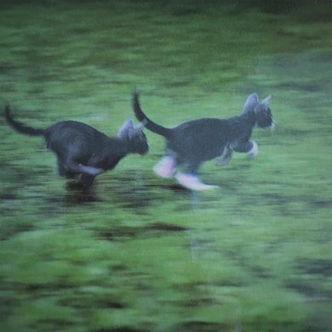 クライアント様の オファーによる作品。