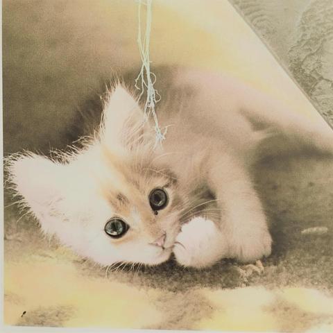 クライアント様の オファーによる 作品。