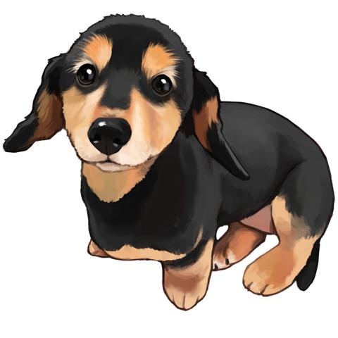 ダックスフンドのイラスト作成 You1023さん イラストレーター のポートフォリオ ココナラ