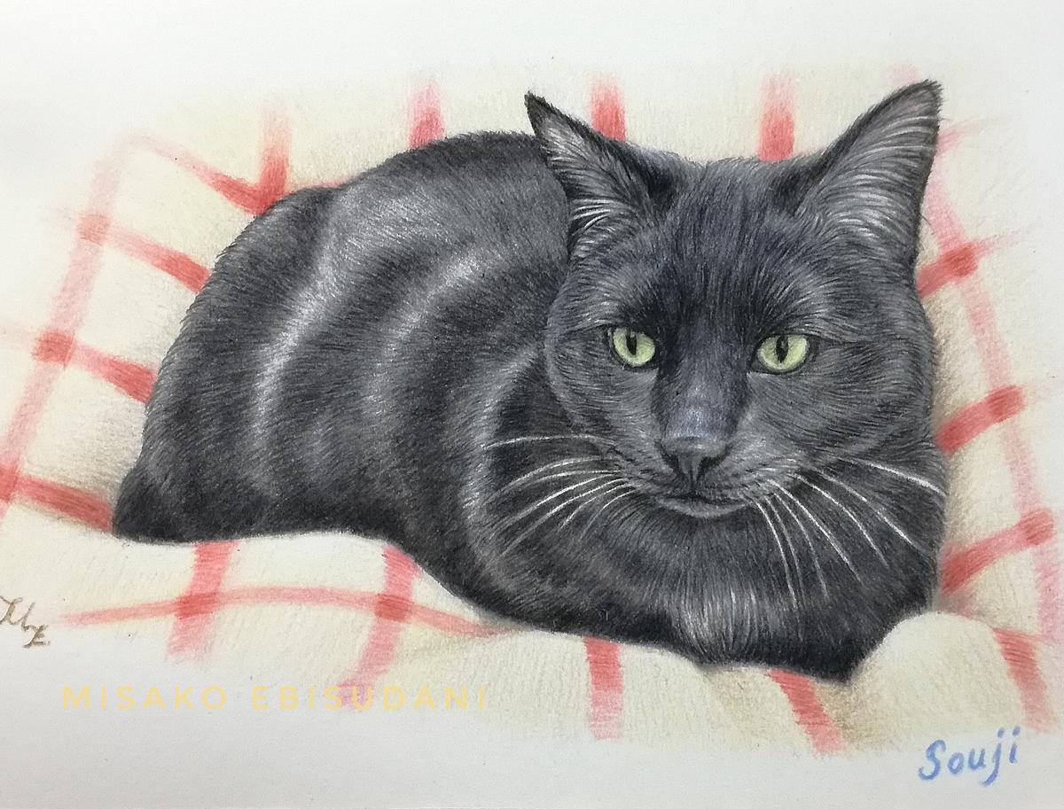 ペットのイラスト制作例 森の工房ばんどりさん イラストレーター のポートフォリオ ココナラ