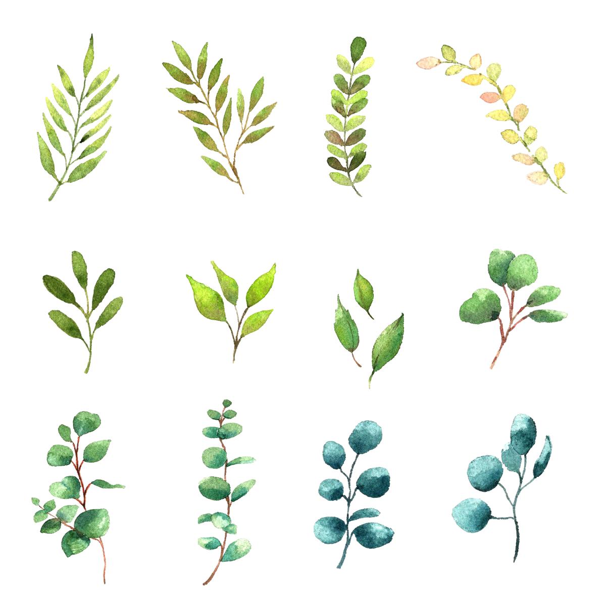 リーフイラスト Marigraphyさん イラストレーター のポートフォリオ ココナラ