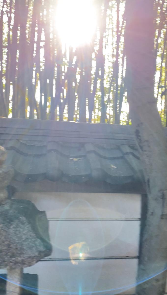 白龍神様の幸運の光 ルビ いつもありがとうございます 感謝 さん 宇宙スピリチュアル占い師 歌う開運師 のポートフォリオ ココナラ