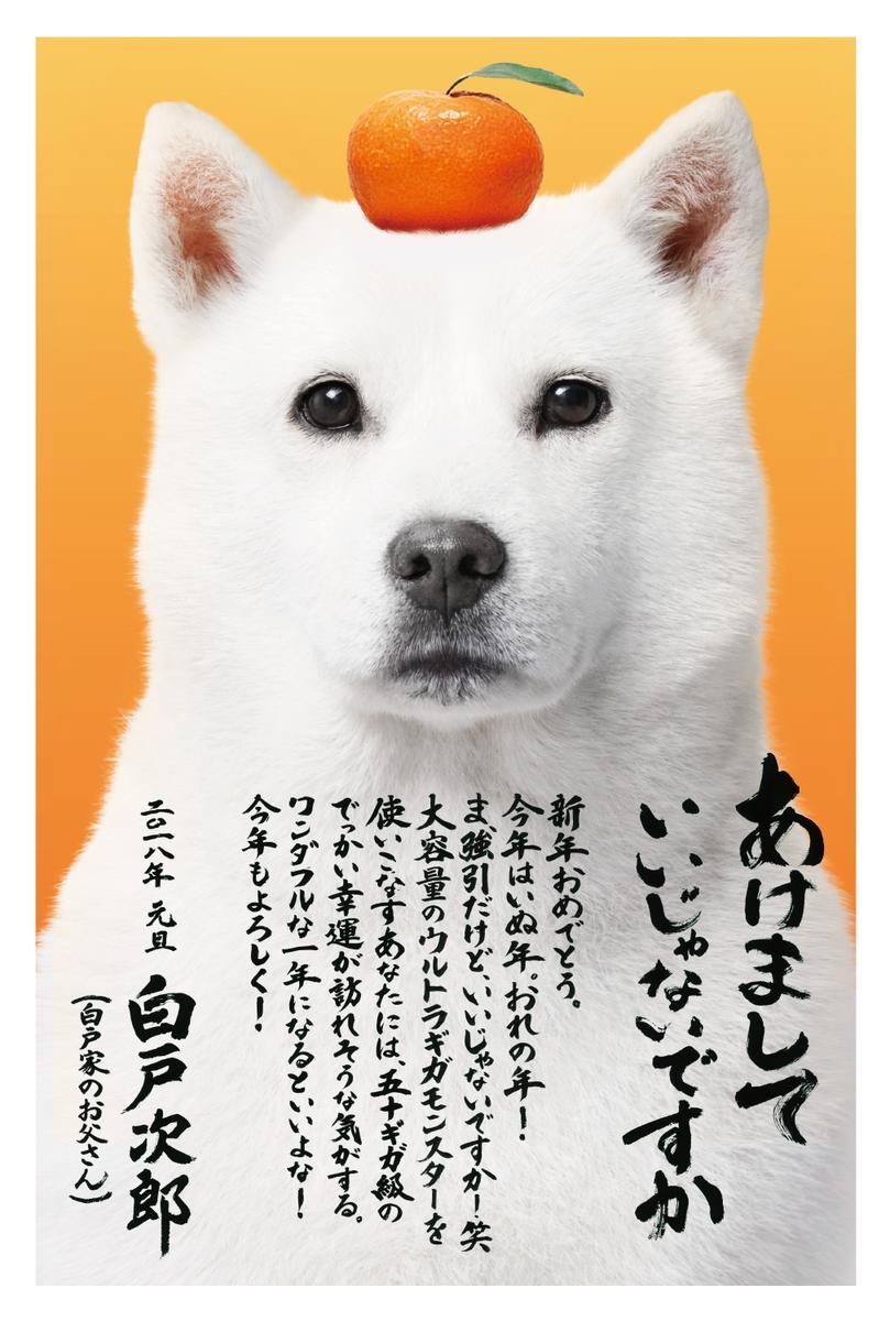 ソフトバンク年賀状3種デザイン担当 Koushu26さん 筆文字ロゴデザイン 書道家紅舟 のポートフォリオ ココナラ