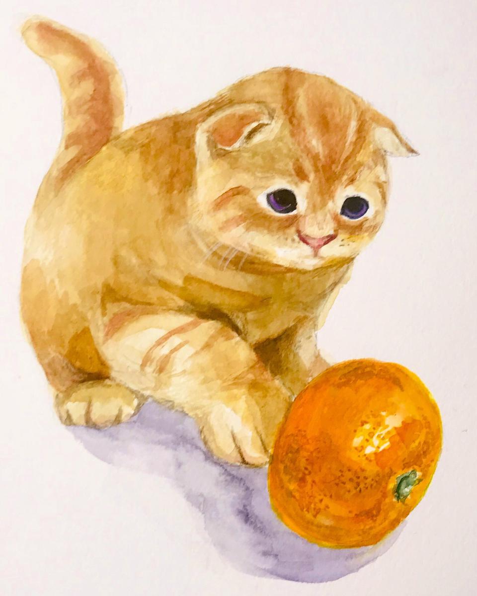 コロコロみかん猫 水彩 Soramaru水彩イラストさん イラストレーター のポートフォリオ ココナラ
