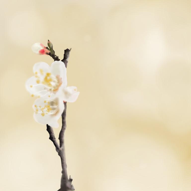 梅一輪 風埜いろはさん 手書き師 のポートフォリオ ココナラ