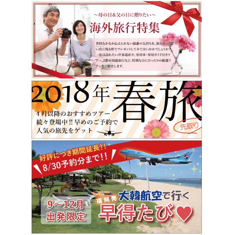 旅行会社 バナーデザイン Tiny Design Nさん グラフィックデザイナー Webデザイナー のポートフォリオ ココナラ