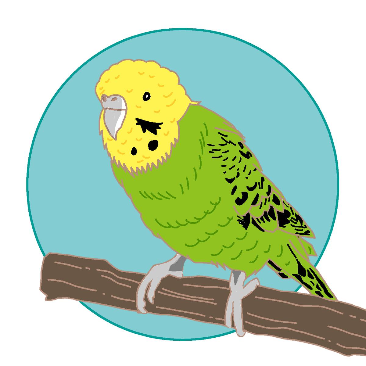 セキセイインコ チコリーヌさん さすらいの絵師 のポートフォリオ ココナラ セキセイインコ チコリーヌさん さすらいの絵師 のポートフォリオ ココナラ
