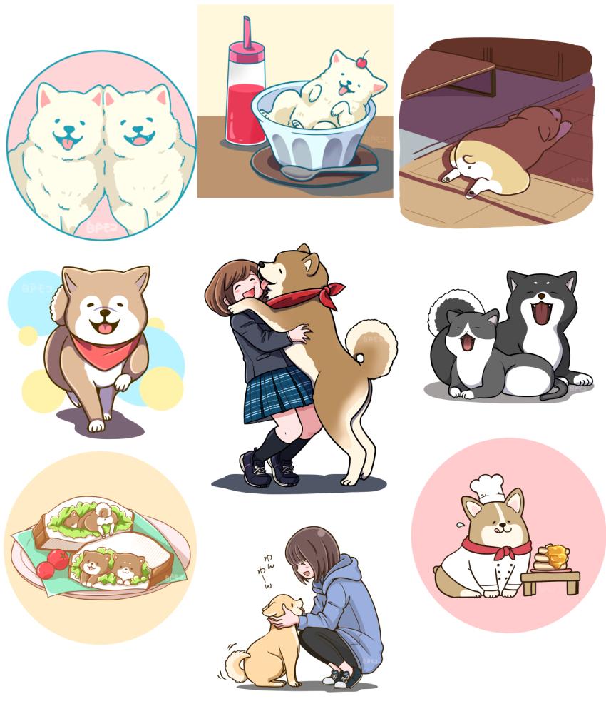 犬まとめ 白戸モコさん イラストレーター のポートフォリオ ココナラ