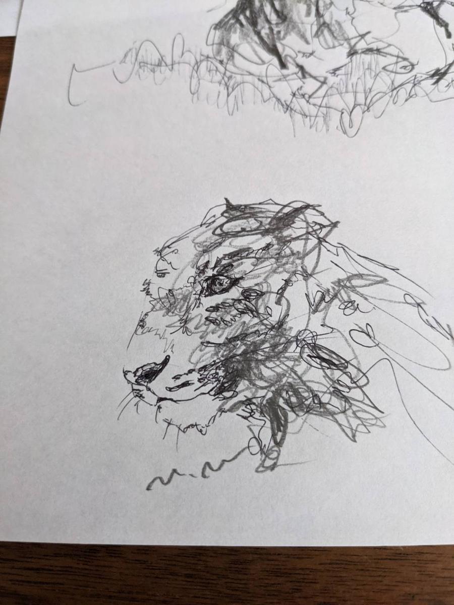 Momoko Mifuneさん 動物イラストレーター のポートフォリオ 作品no ココナラ Momoko Mifuneさん 動物イラストレーター のポートフォリオ 作品no ココナラ