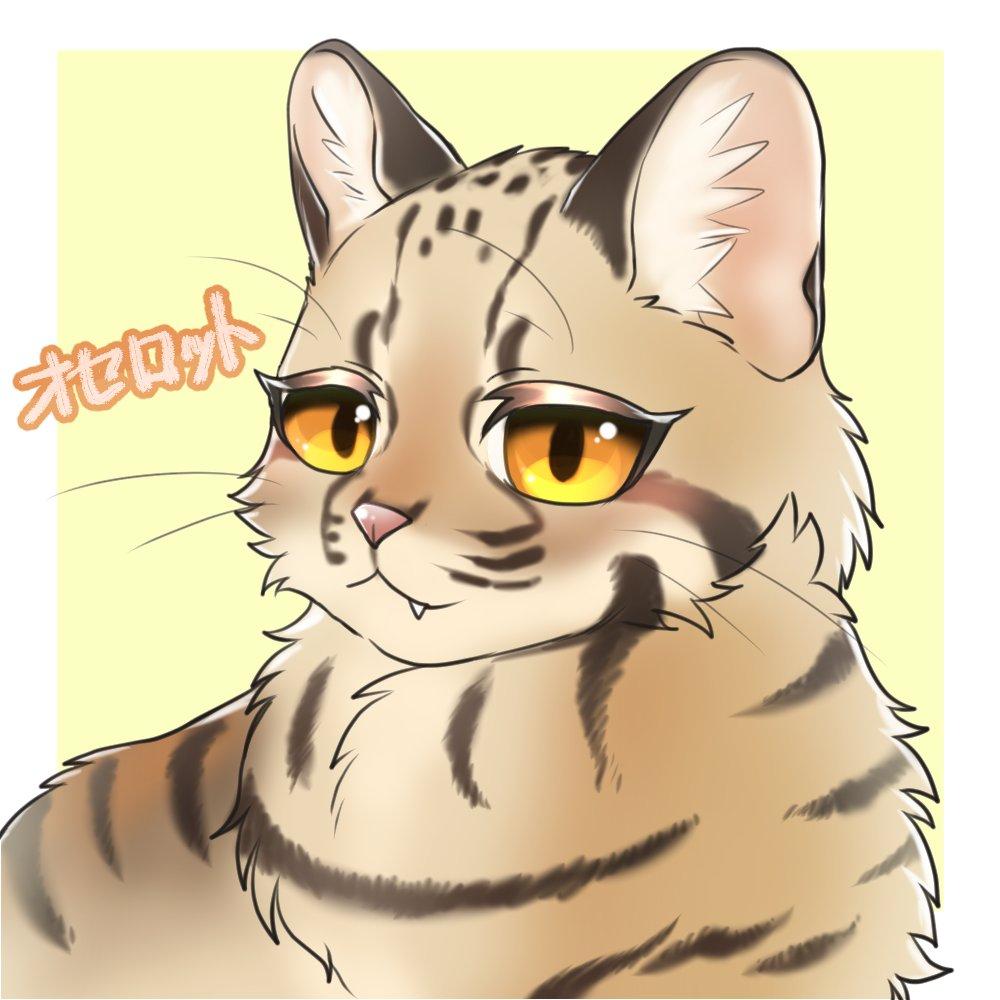 オセロット 黒馬空真さん 学生イラストレーター のポートフォリオ ココナラ