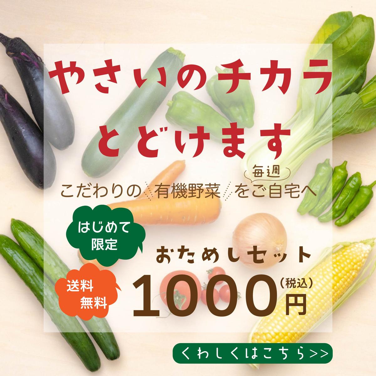 有機野菜の宅配サービスの広告バナー Mikan Chanさん グラフィックデザイナー のポートフォリオ ココナラ