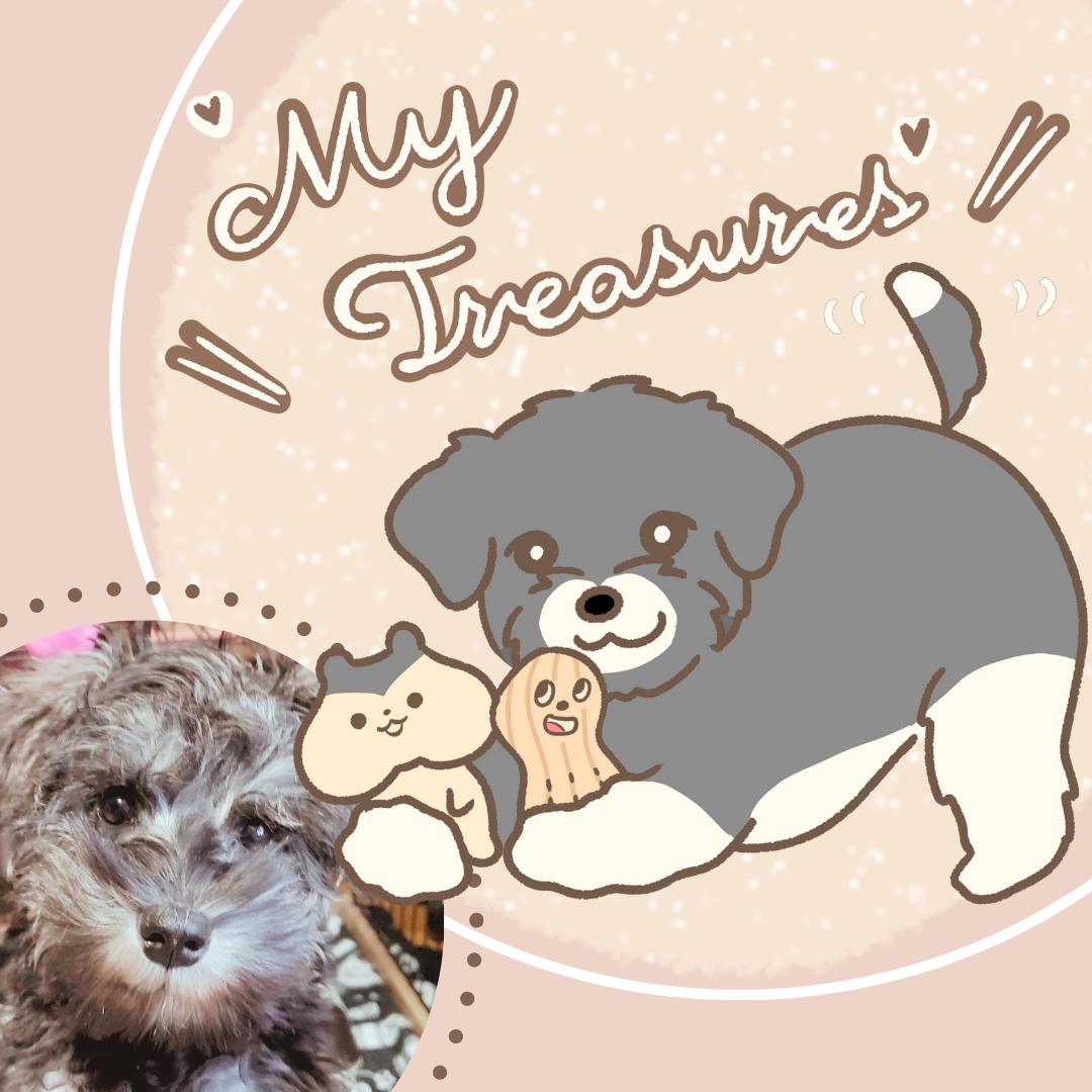 ペットイラスト ミニチュアシュナウザー うさぎぱん さん 犬猫イラストレーター のポートフォリオ ココナラ
