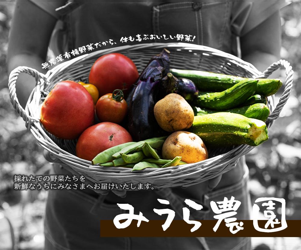 産地直送農家さんの広告バナー Kasumi つい見ちゃうデザインさん Webデザイナー のポートフォリオ ココナラ