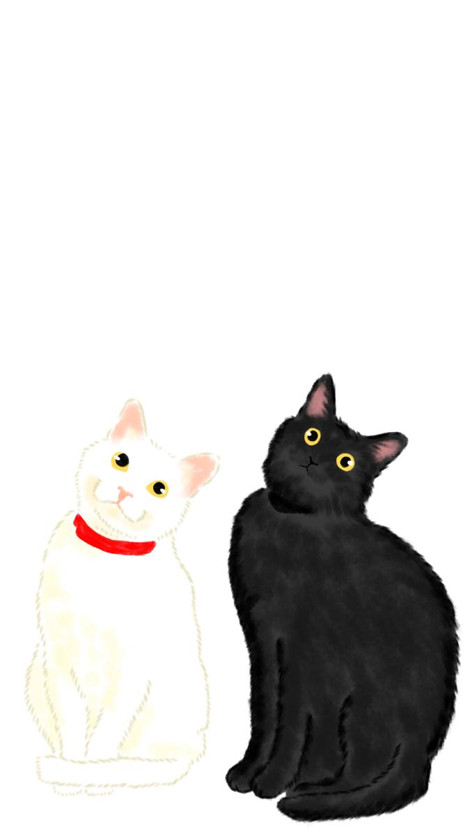 白黒猫ちゃんのイラスト作成依頼 ベア たん 落書きイラストレーターさん 落書きイラストレーター のポートフォリオ ココナラ