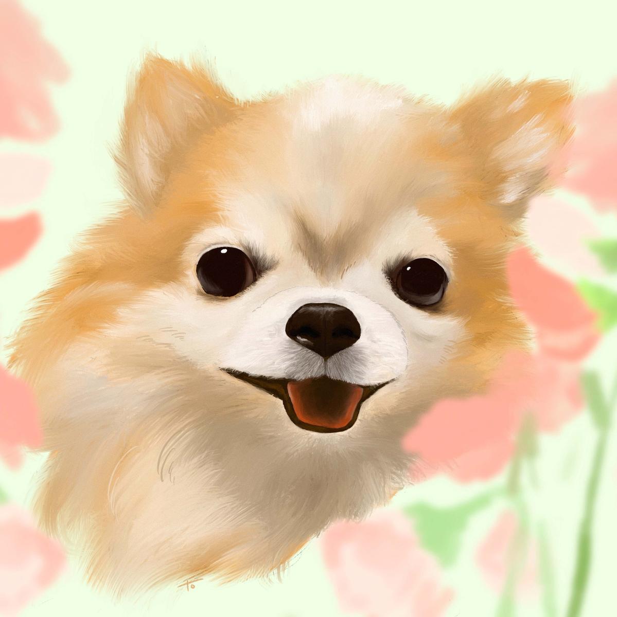 チワワのイラスト作成 戸梶 さん イラストレーター のポートフォリオ ココナラ