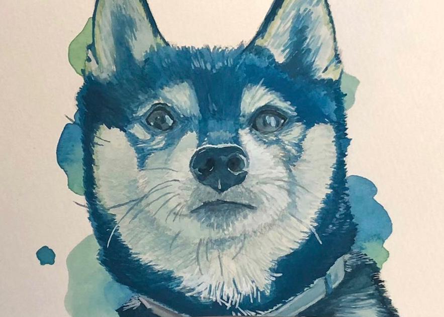 黒柴 サンプル ももずきさん 動物イラストを描く一般大学生 のポートフォリオ ココナラ