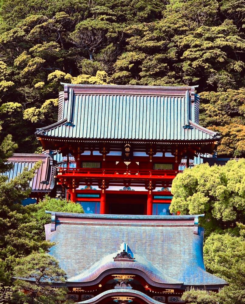 鶴岡八幡宮 霊視鑑定 天空 さん 占い師 のポートフォリオ ココナラ