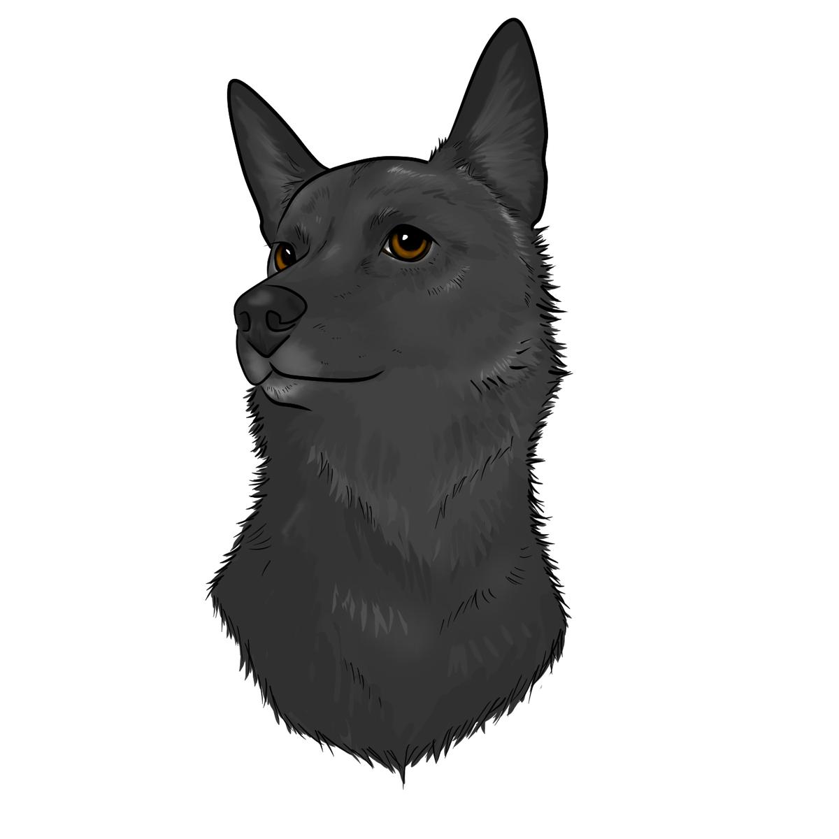 犬のイラスト Kuroshima8563さん イラストレーター のポートフォリオ ココナラ