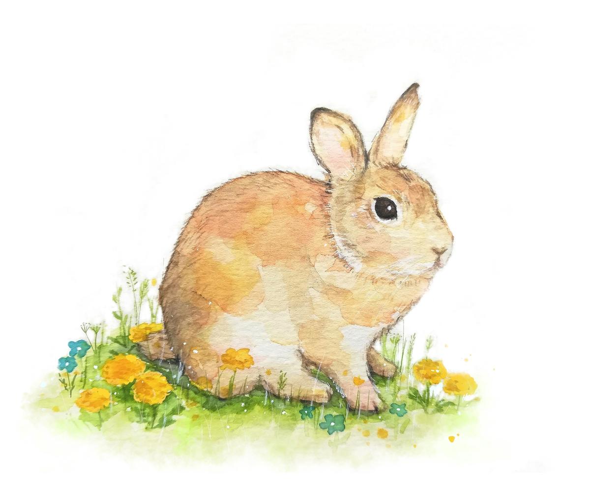 春のお花畑とうさぎ Mutsuki 01さん 動物イラスト のポートフォリオ ココナラ