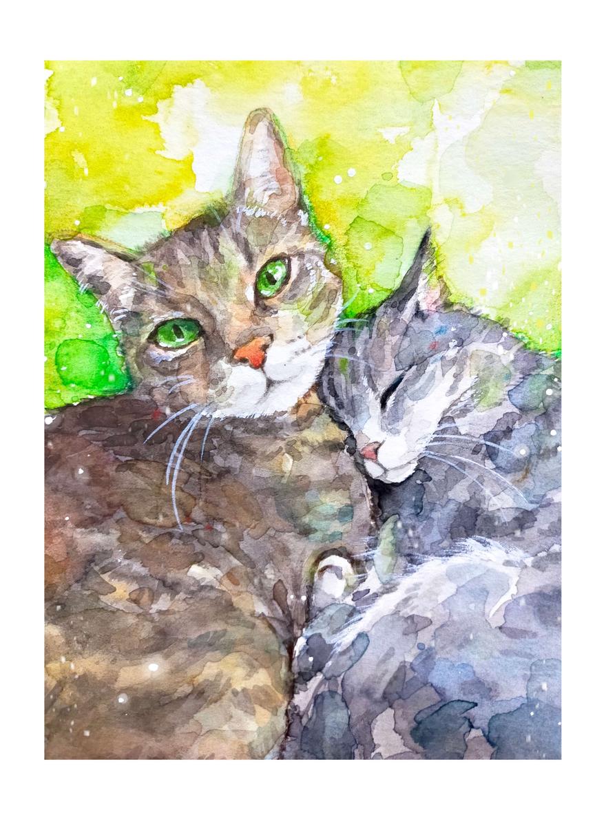 寄り添う猫 ｍutsukiさん 動物イラスト のポートフォリオ ココナラ
