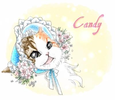 きゃんでぃーきゃんでぃー Nekoanninさん 猫イラストレーター のポートフォリオ ココナラ きゃんでぃーきゃんでぃー Nekoanninさん 猫イラストレーター のポートフォリオ ココナラ