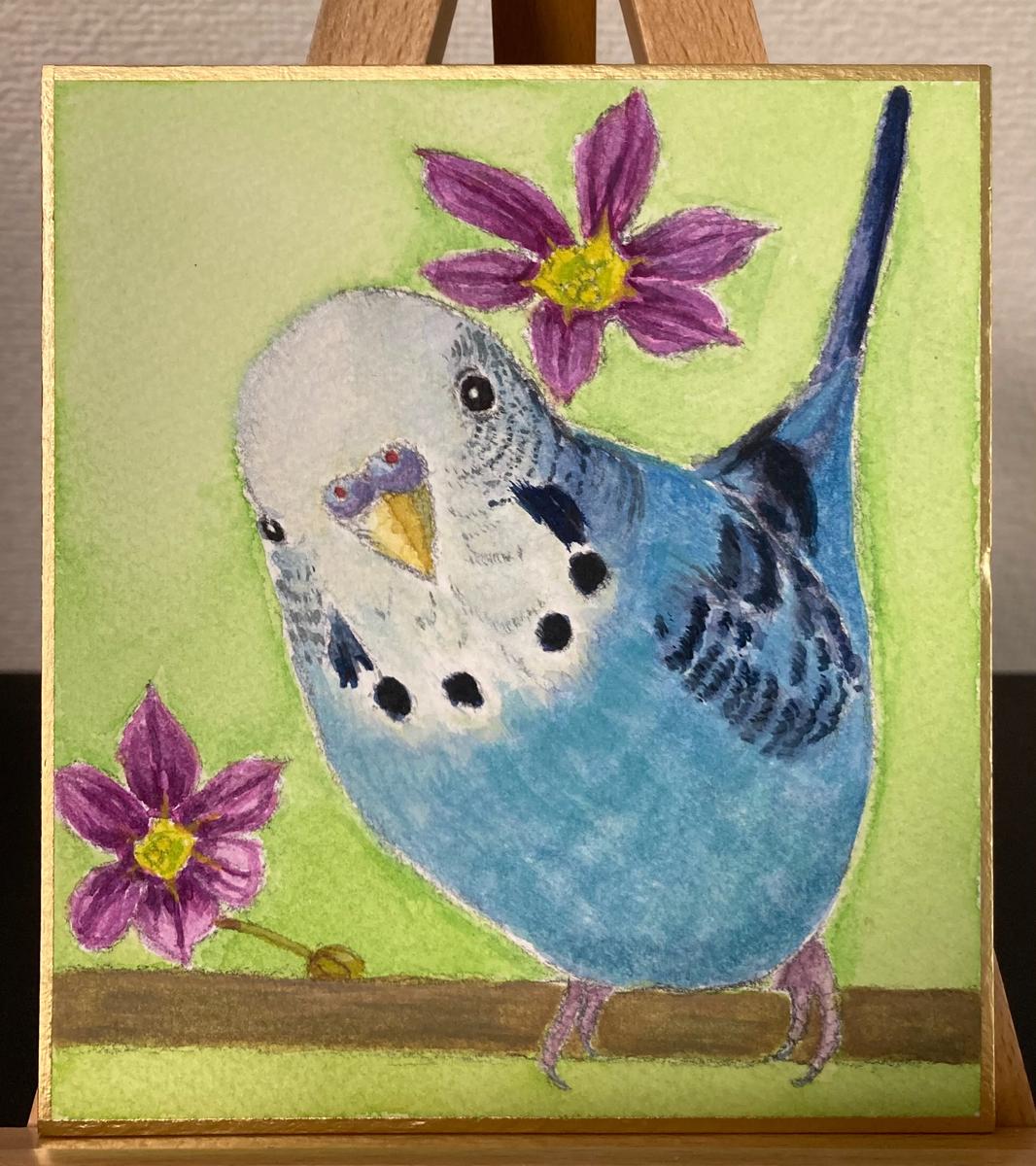セキセイインコ いろどり屋のんさん 鳥専門絵描き屋 のポートフォリオ ココナラ