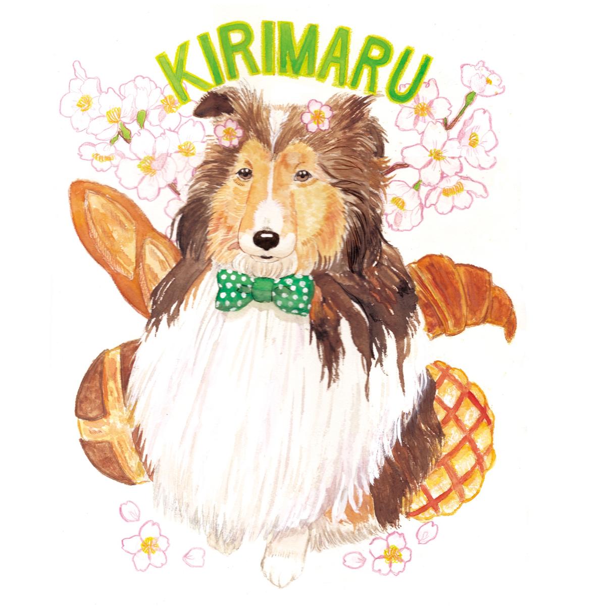 きりまるくんと春 似顔絵雑貨ごましおさん 動物イラストレーター のポートフォリオ ココナラ