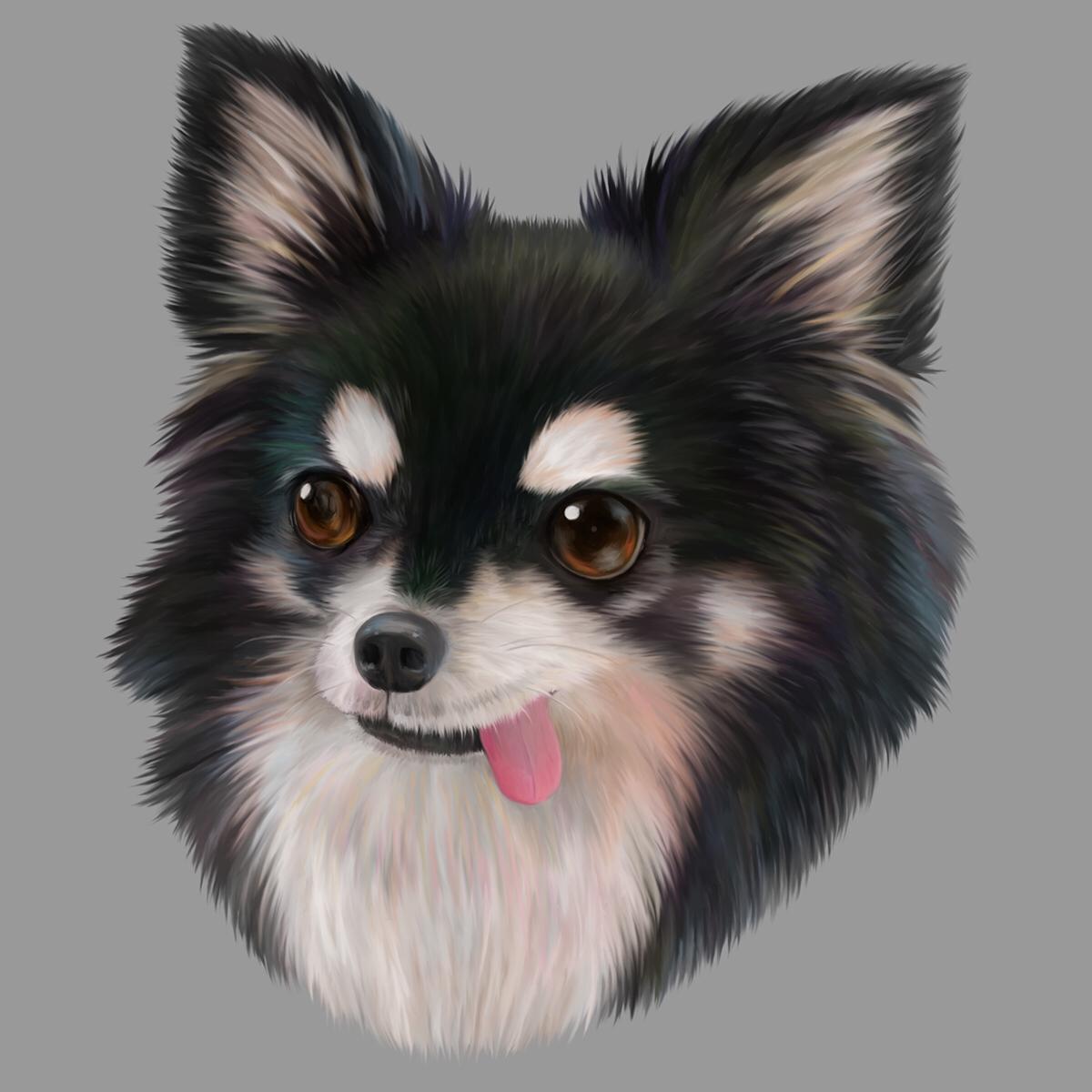 黒チワワちゃん 桃谷はぐ さん ママイラストレーター のポートフォリオ ココナラ