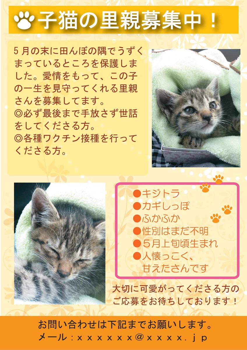 子猫の里親募集チラシ 藤島すいさん フリークリエイター デザイナー のポートフォリオ ココナラ 子猫の里親募集チラシ 藤島すいさん フリークリエイター デザイナー のポートフォリオ ココナラ