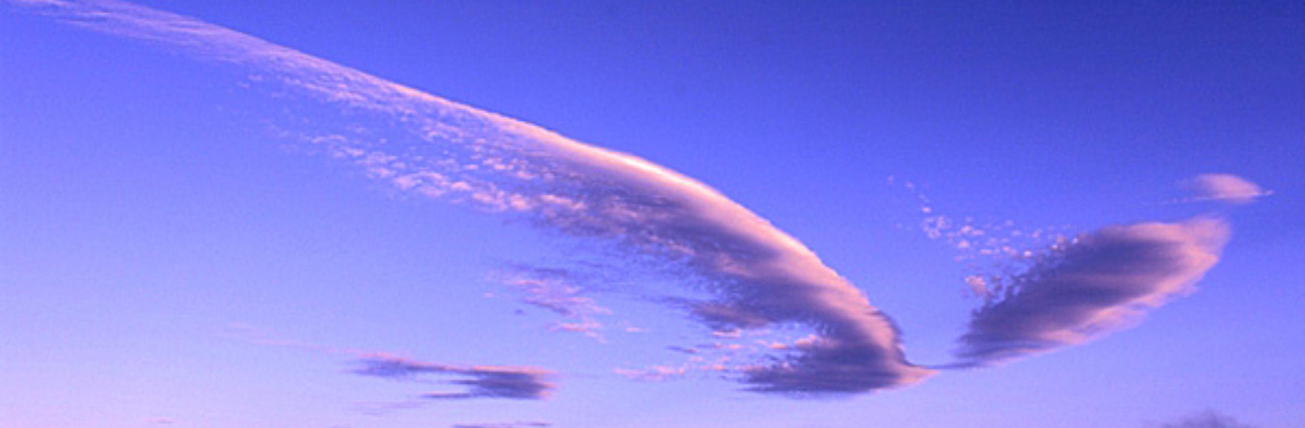 和風慶雲さん(神職)のプロフィール ココナラ