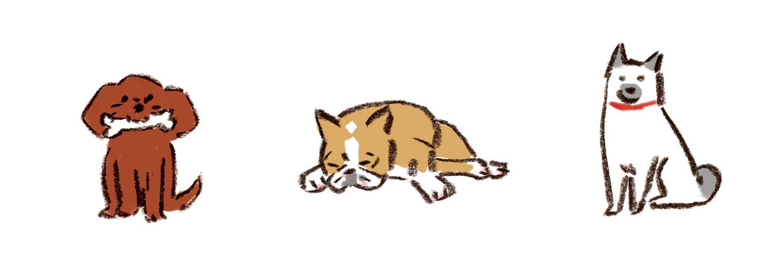 メキシコおじさんイラストサンプル Aeiuoさん イラストレーター のポートフォリオ ココナラ