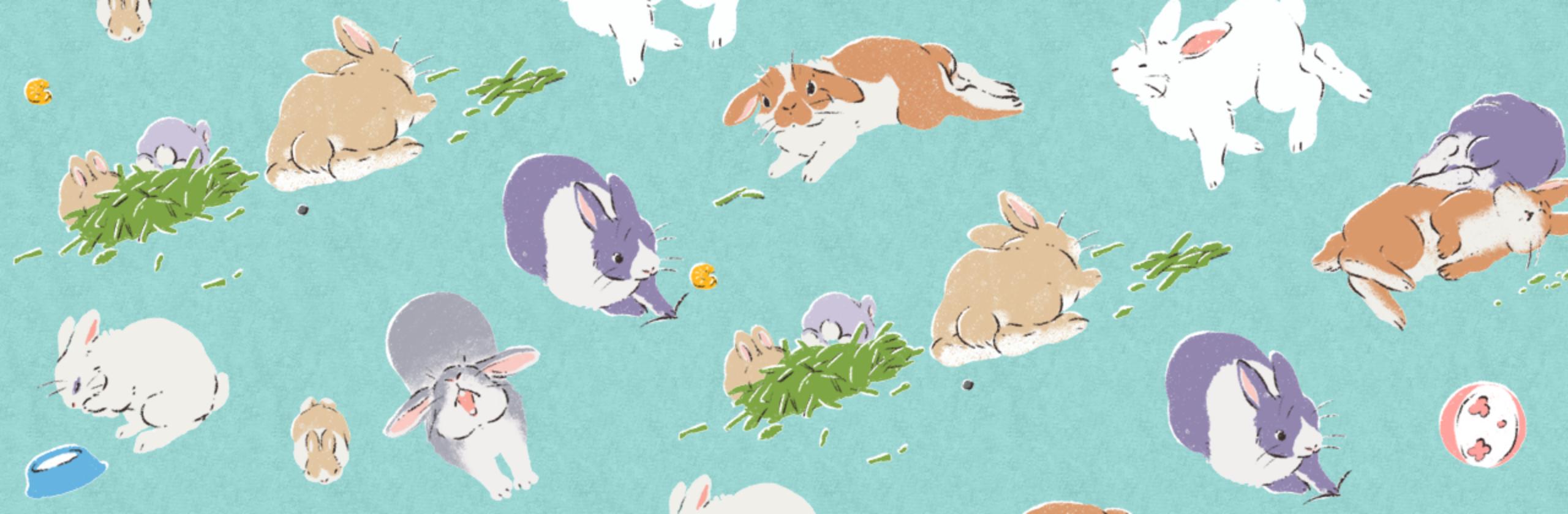 うさぎのデフォルメサンプル みか Boisさん グラフィックデザイナー のポートフォリオ ココナラ