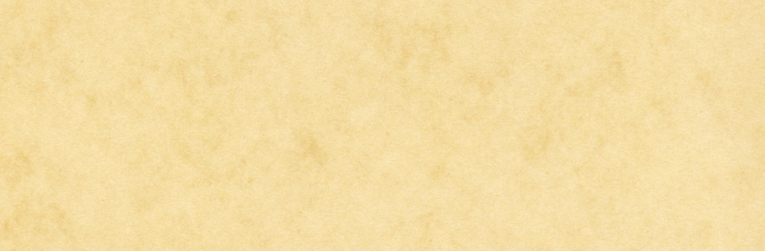 アウトドア キャンプ 野外 フェス イラスト はしもと イラストレーター さん イラストレーター のポートフォリオ ココナラ