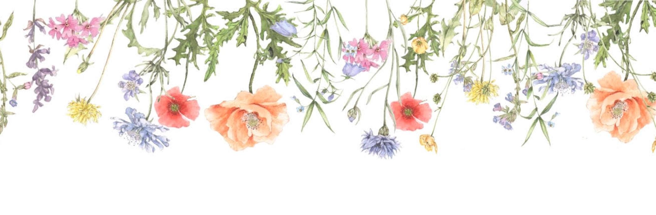 上田麻里さん 美容研究家 のスキル 経歴 ココナラ