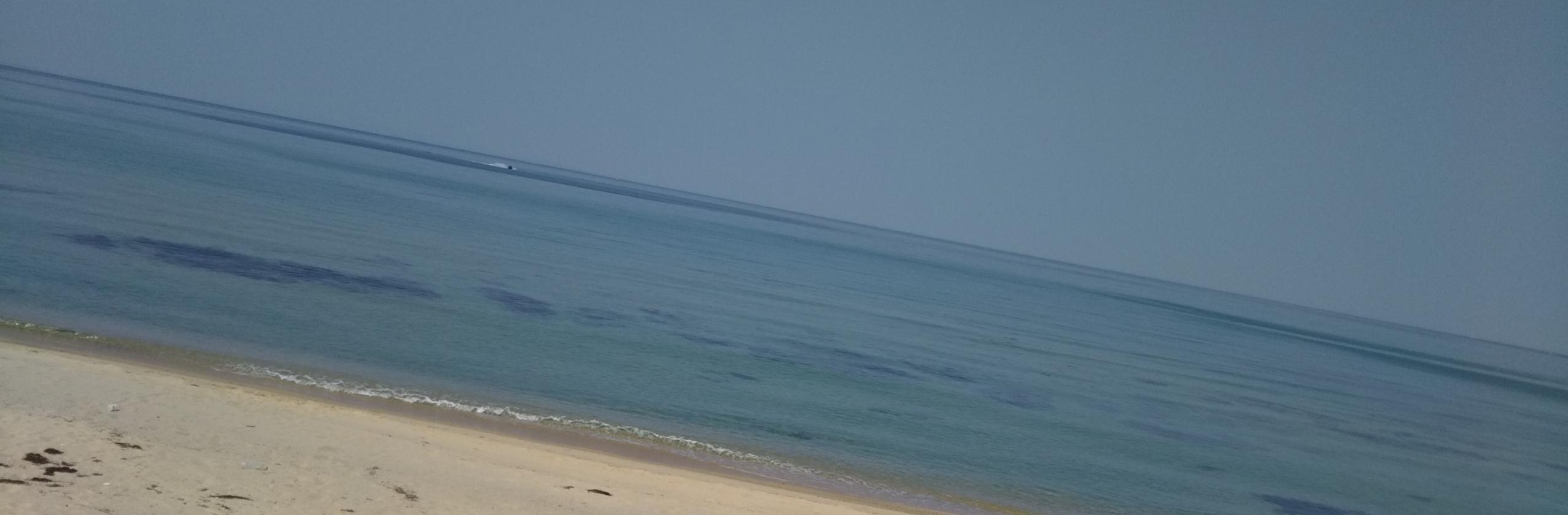 杉本ゆうたさん 機械エンジニア のプロフィール ココナラ